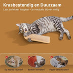 PurrKicker™ Catnip Kussen