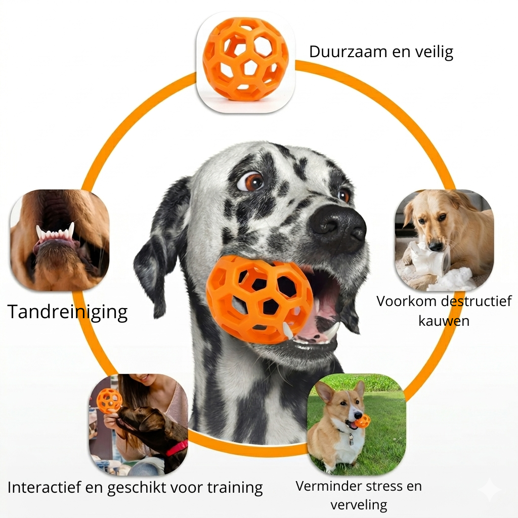 De Bel Bal