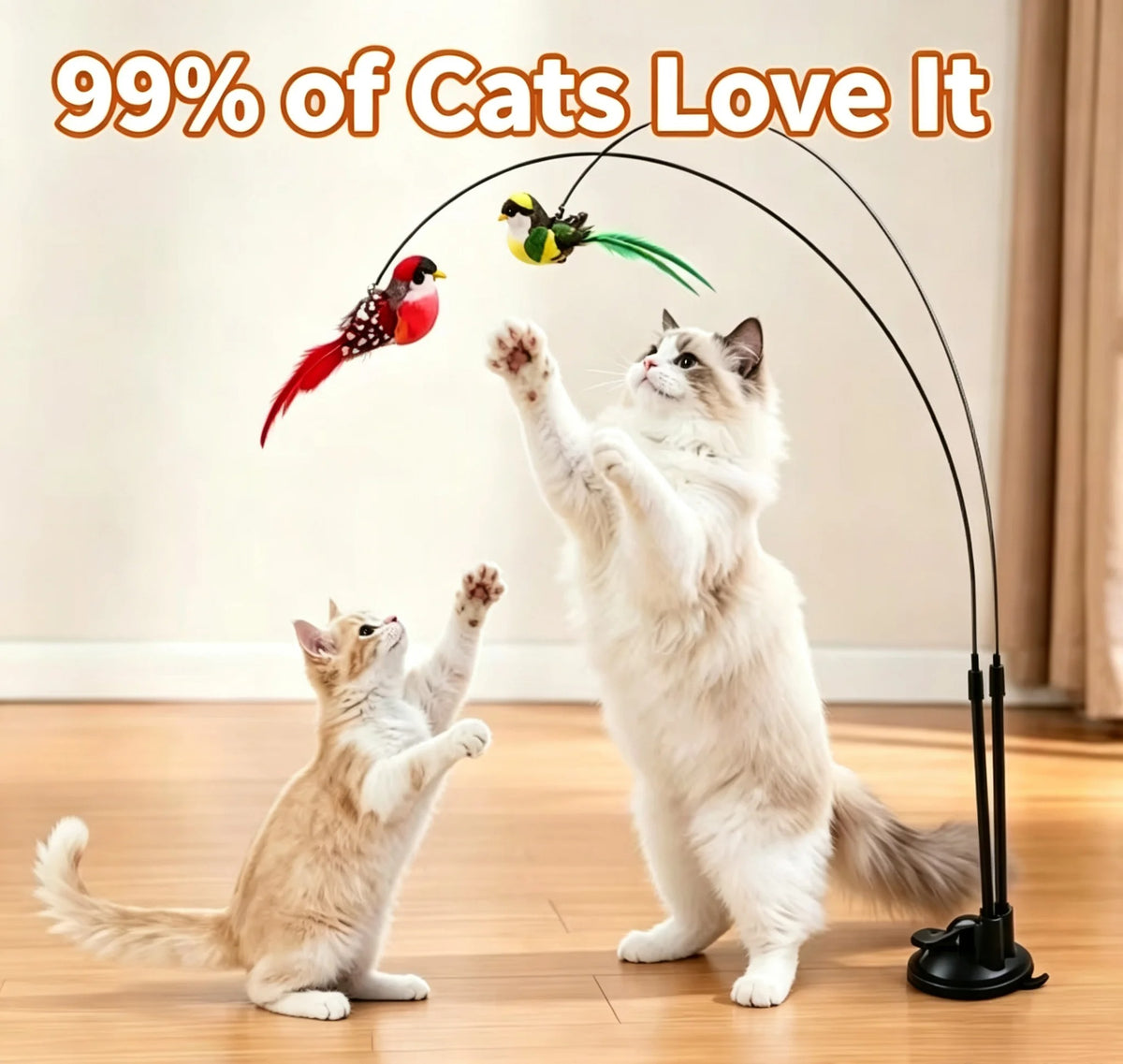 kattenplager