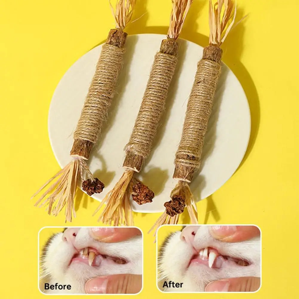 Kattenkruid Tandenslijpstaafje