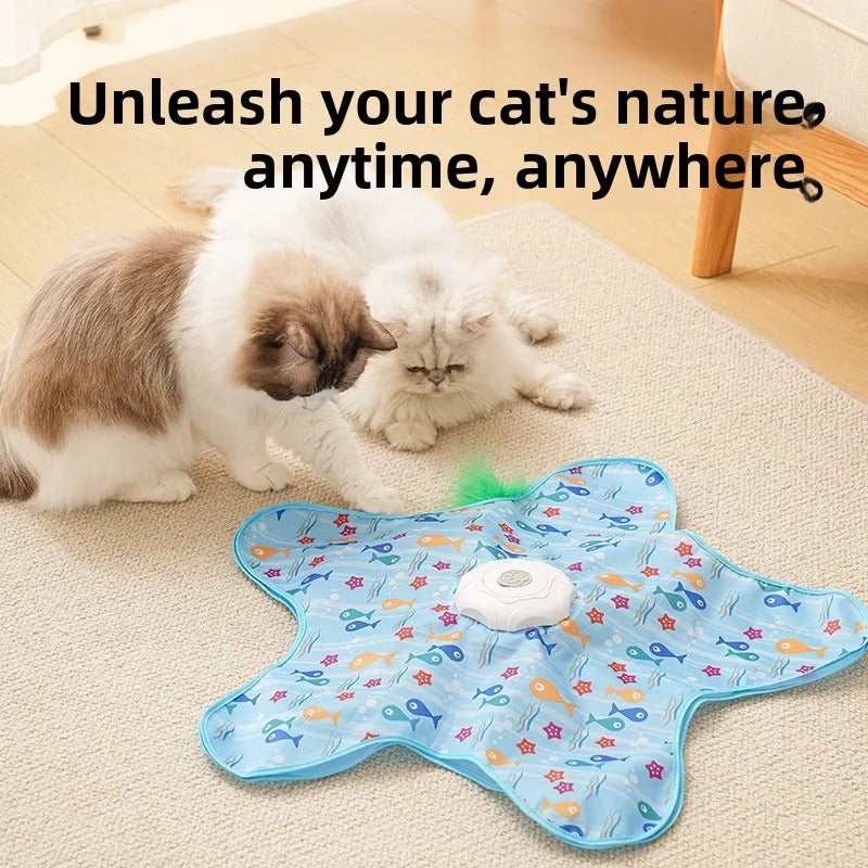 verstoppertje Kattenspeeltje