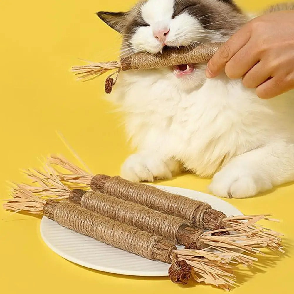Kattenkruid Tandenslijpstaafje