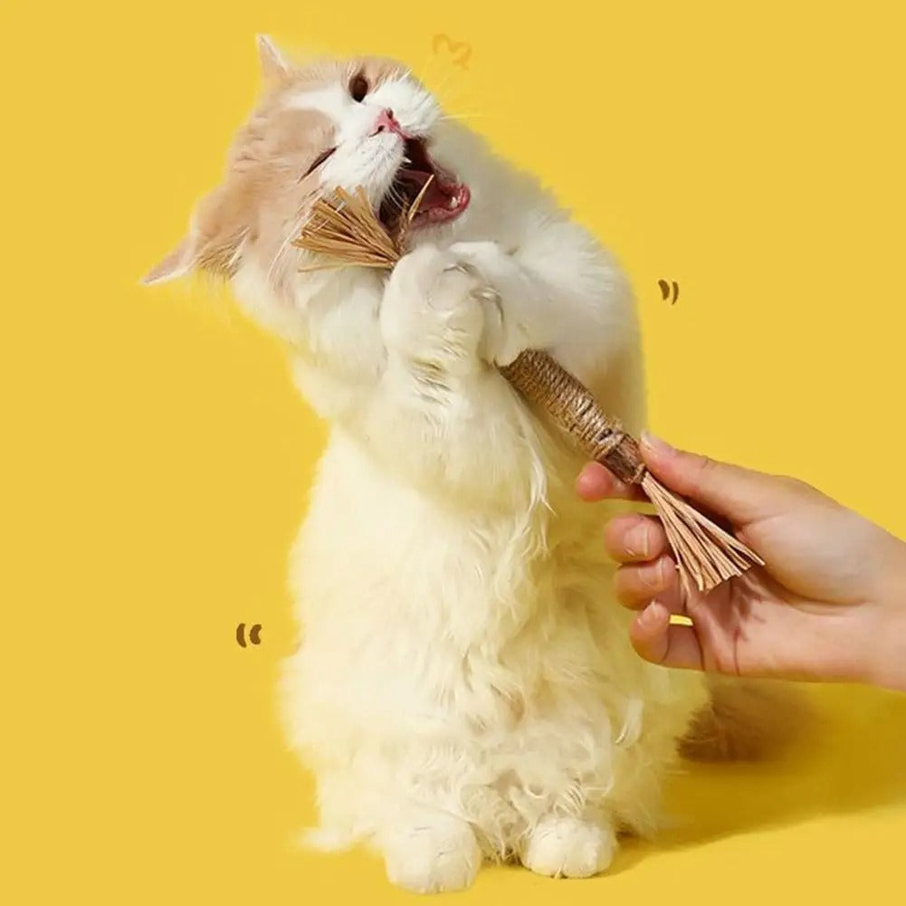 Kattenkruid Tandenslijpstaafje
