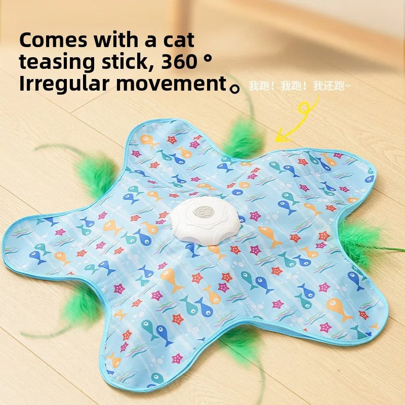 verstoppertje Kattenspeeltje