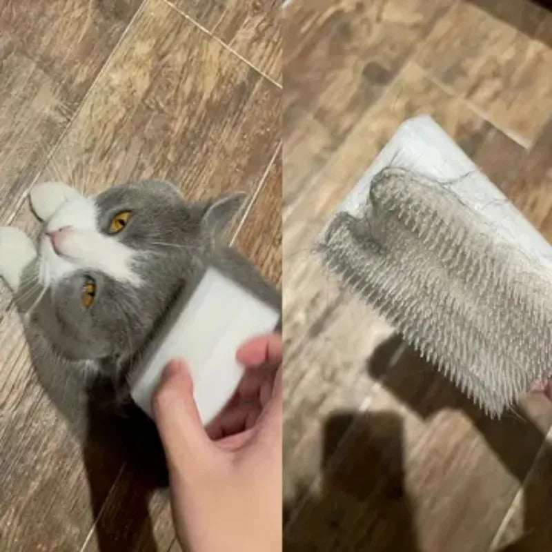Kattenmassageborstel