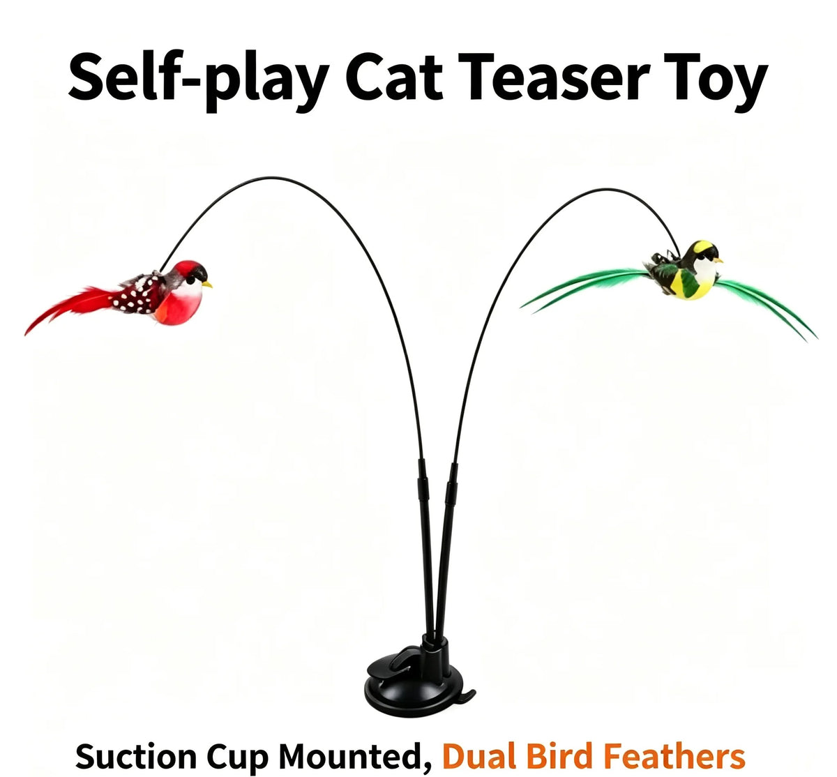 kattenplager
