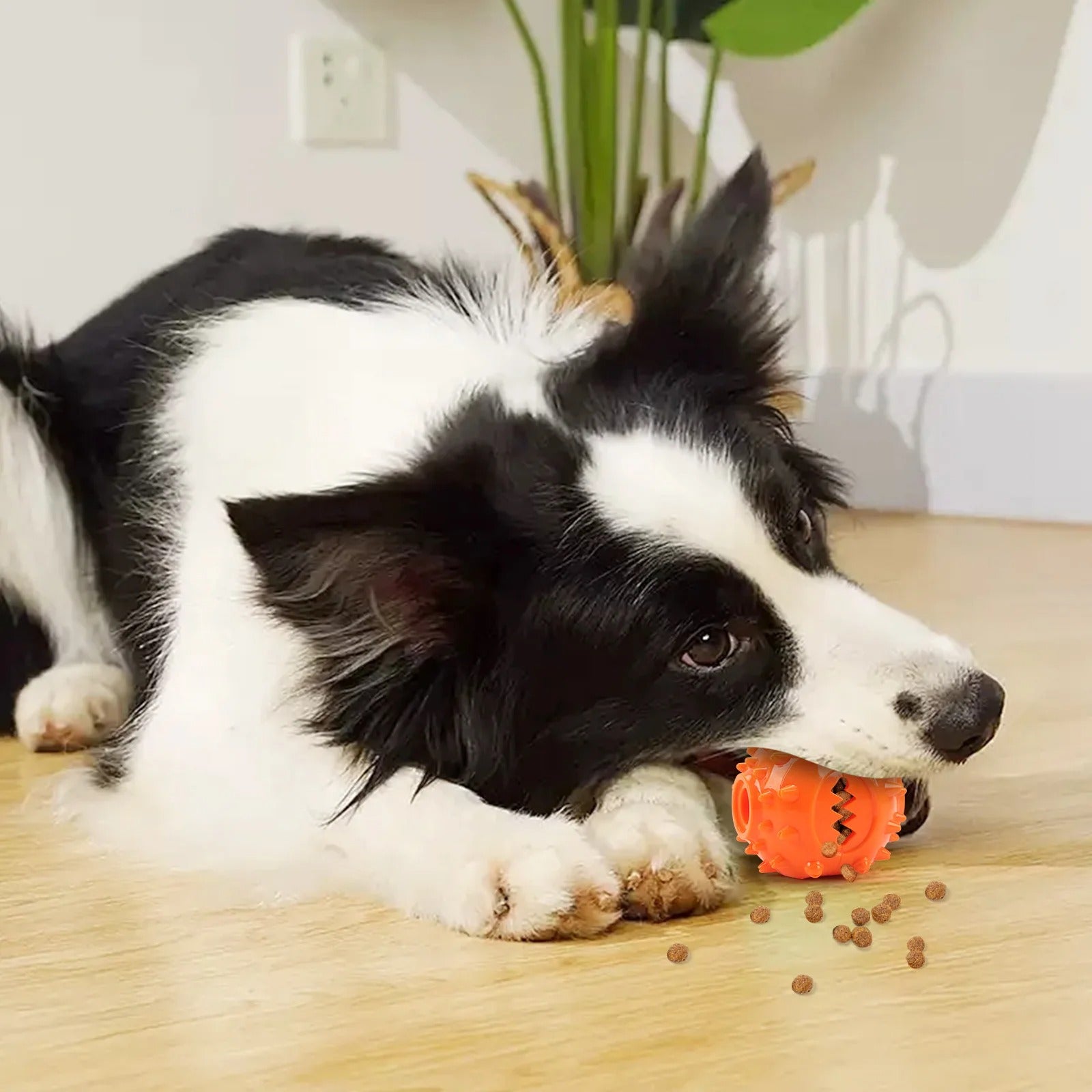 Chew Treat Dispensing Ball