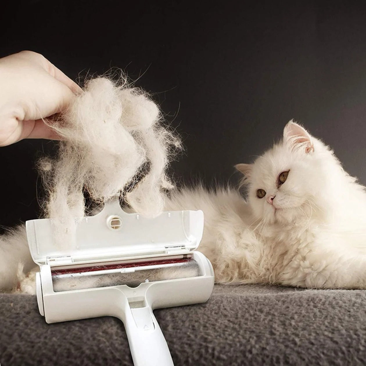 Huisdier Haar Roller Remover