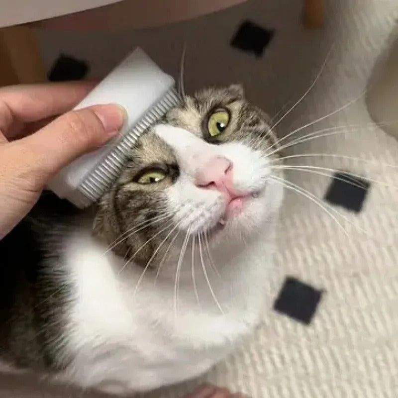 Kattenmassageborstel