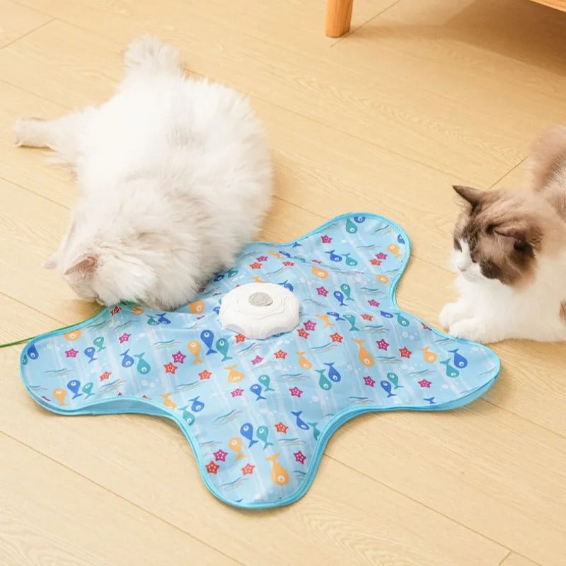 verstoppertje Kattenspeeltje