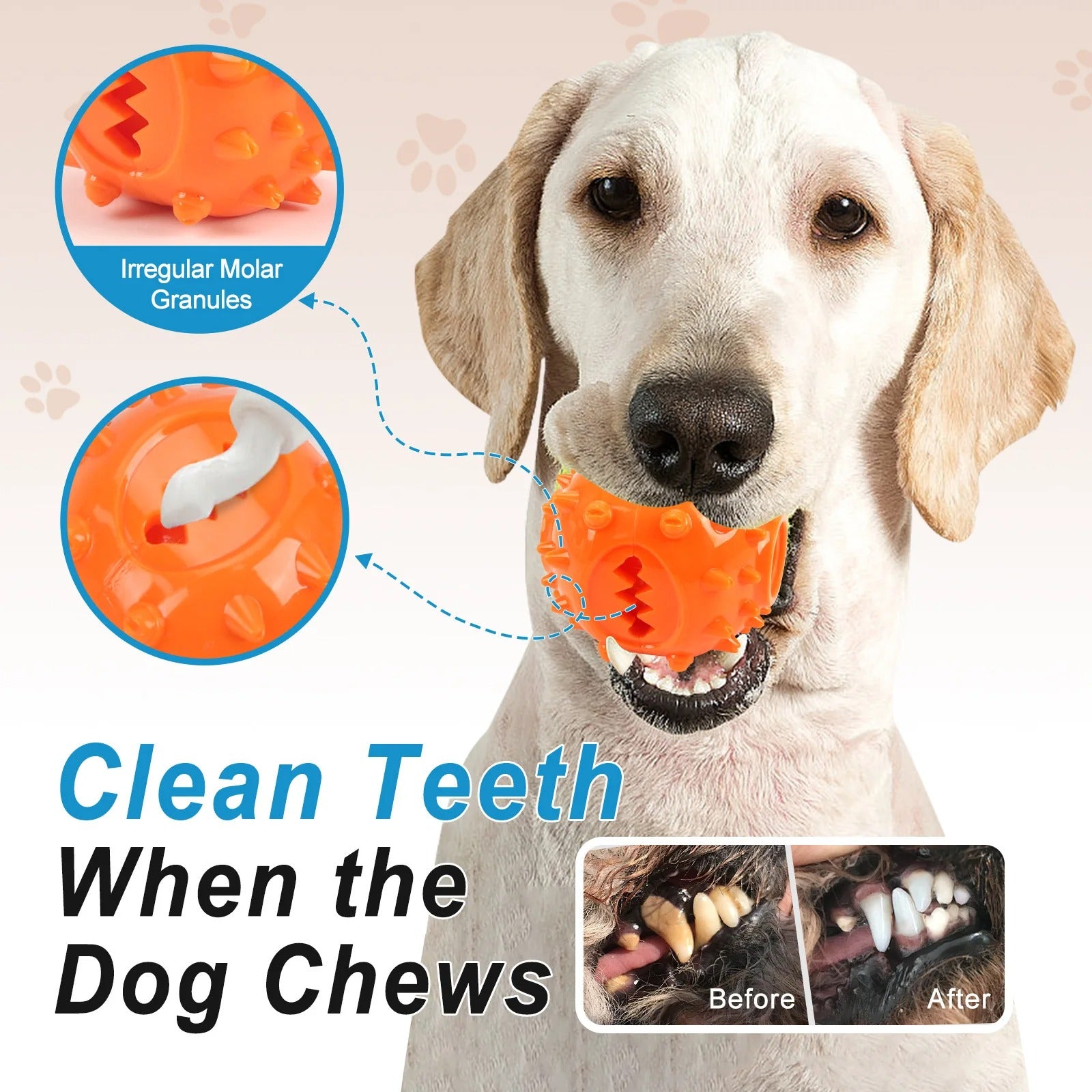 Chew Treat Dispensing Ball