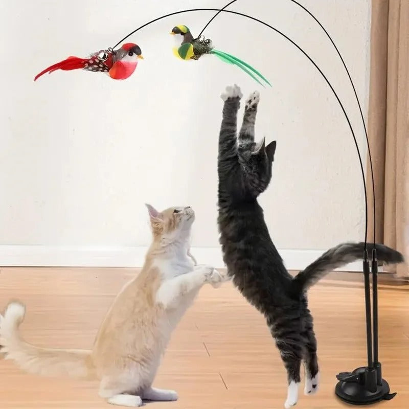 kattenplager