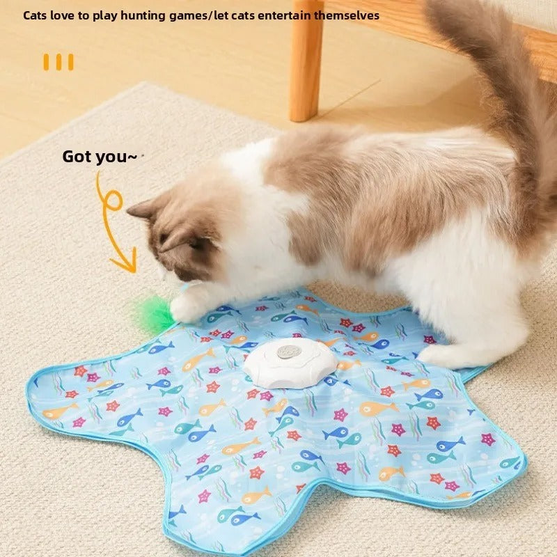verstoppertje Kattenspeeltje