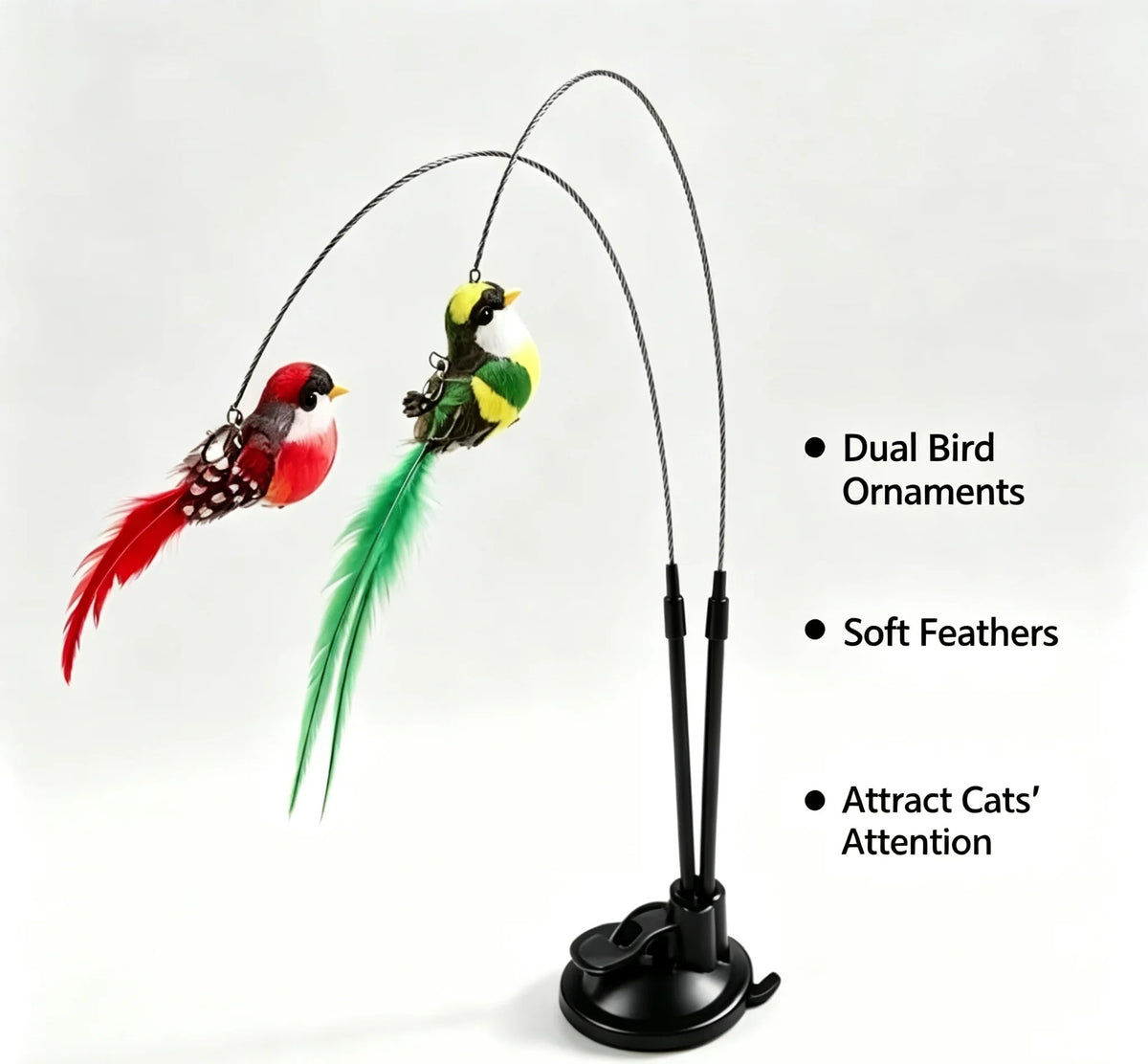 kattenplager