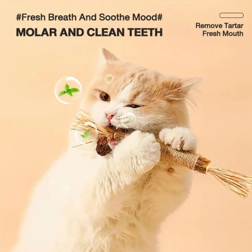 Kattenkruid Tandenslijpstaafje