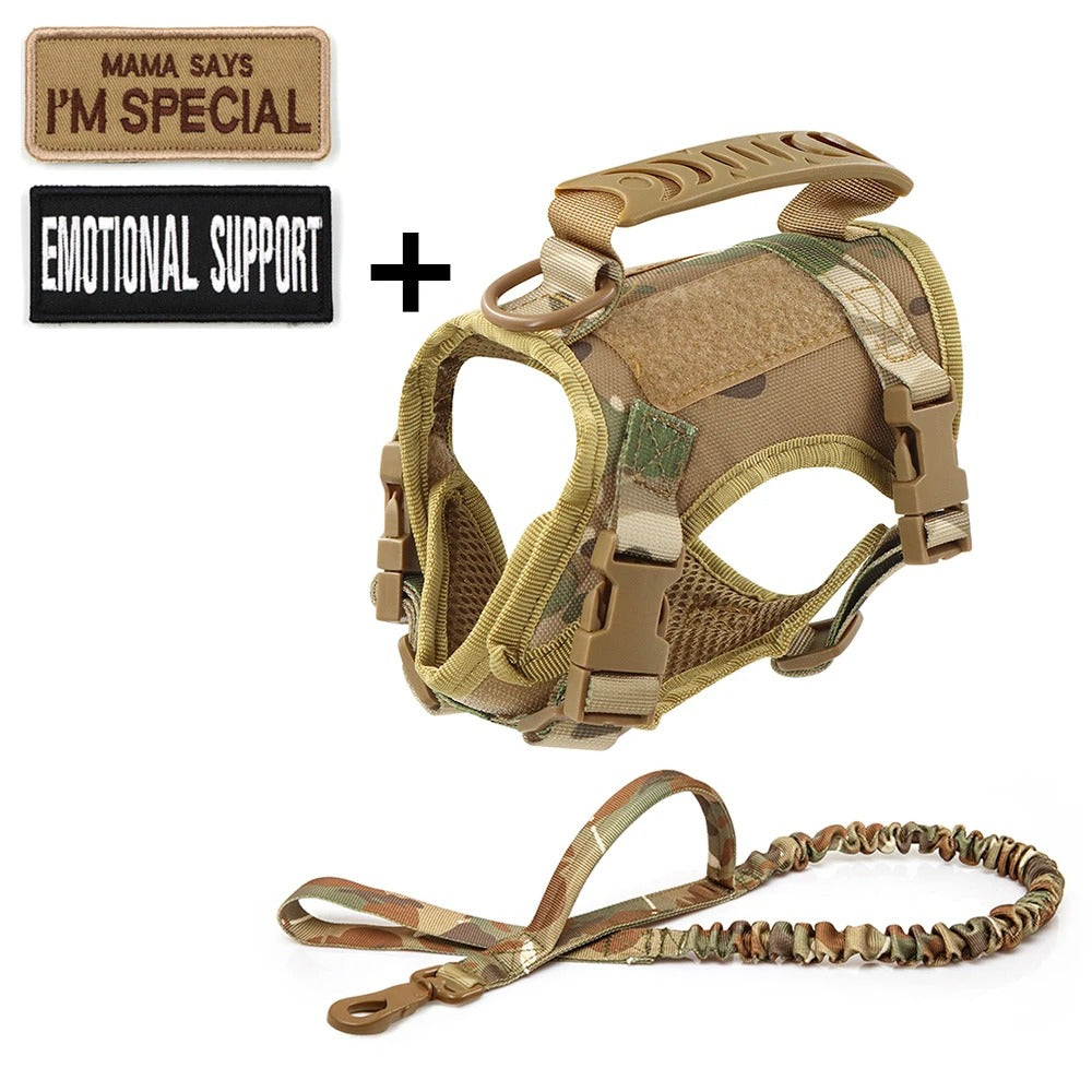 Tactical Cat Harness & Leash