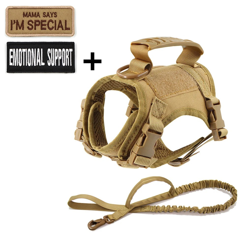 Tactical Cat Harness & Leash