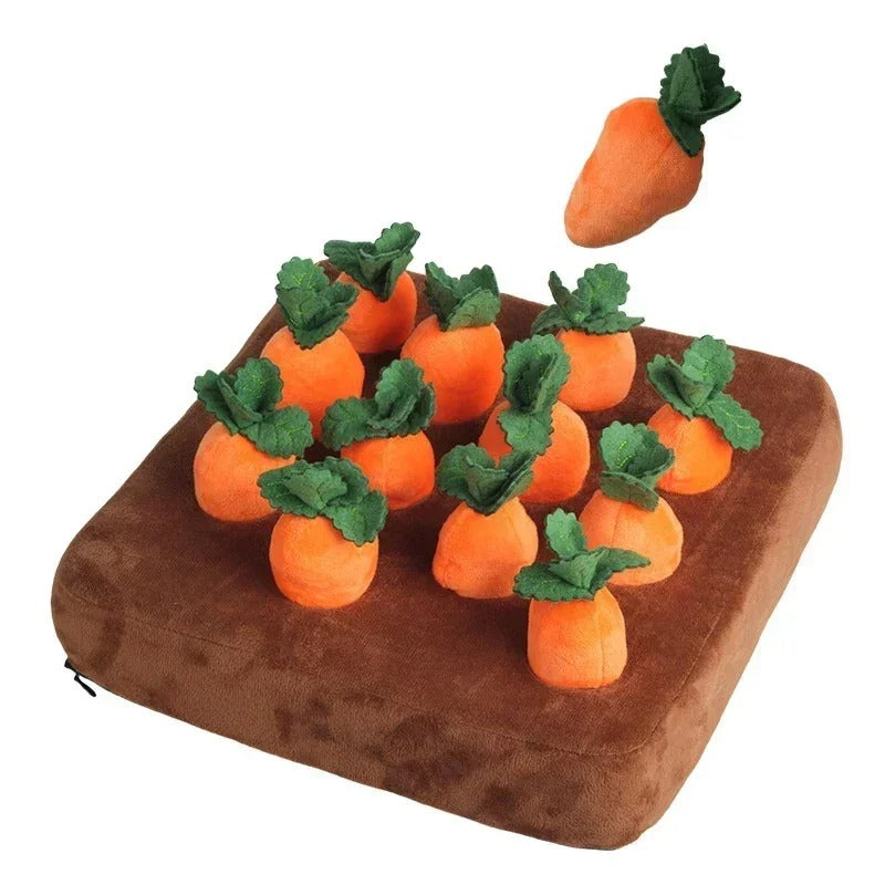 Carrot Toy Mat