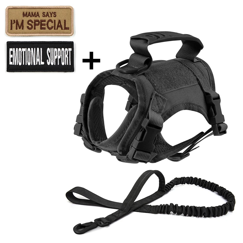 Tactical Cat Harness & Leash