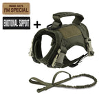 Tactical Cat Harness & Leash