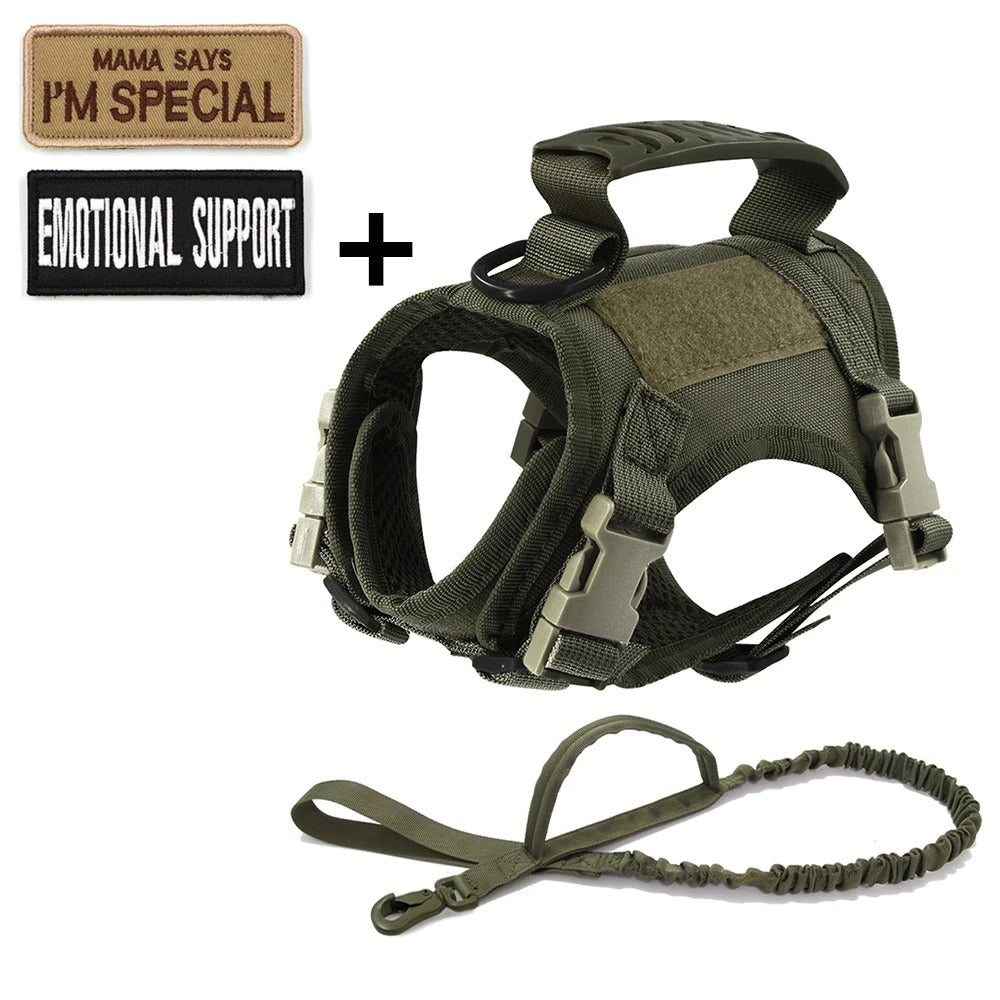Tactical Cat Harness & Leash