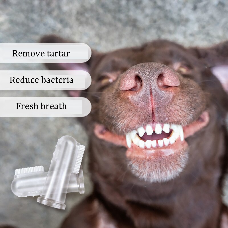 PawSmile SoftBrush™