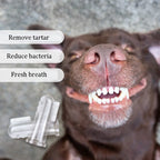 PawSmile SoftBrush™